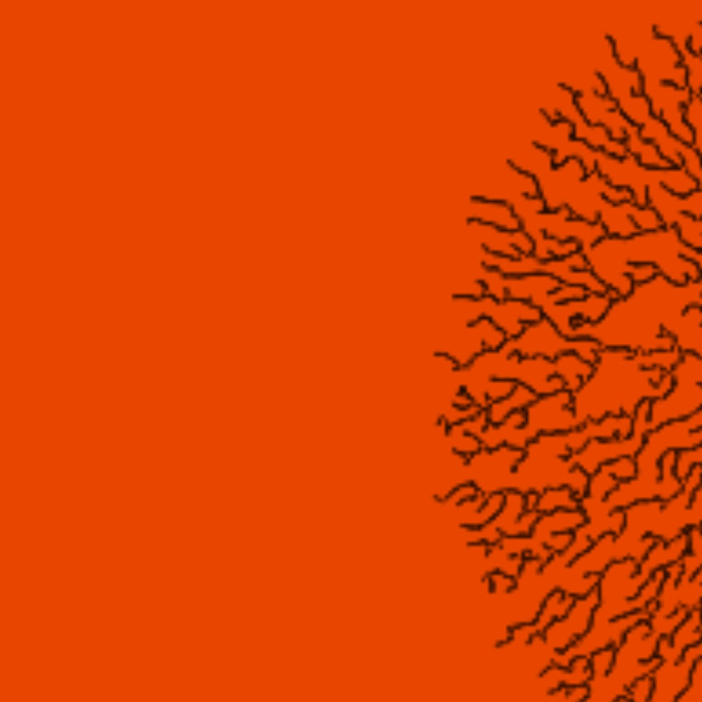 Schematic lung drawing on orange background