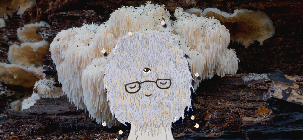 Wild growing Lion's mane with Lion's mayne cartoon character